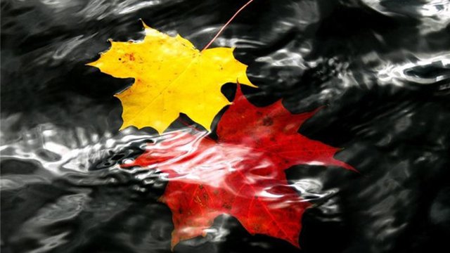 Александр Дольский - "Сентябрь. Дожди." смотреть онлайн