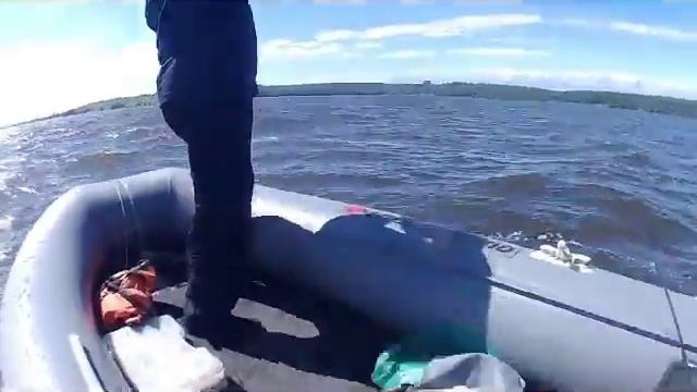 ловля судака на силикон и поролон Воронежское водохранилище смотреть онлайн