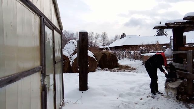 Жизнь в деревне, новый питомец ?? смотреть онлайн