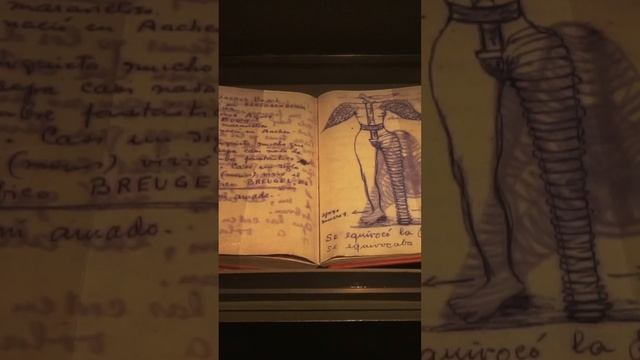 Frida Kahlo Museum in Mexico City #shorts смотреть онлайн