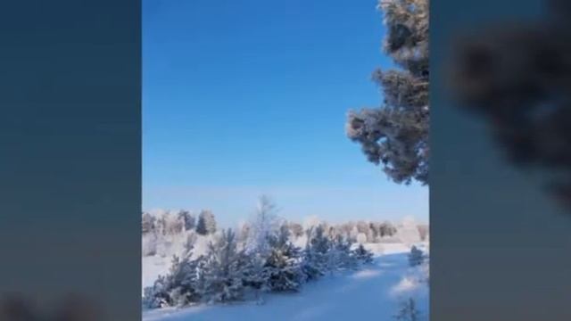 И снова о красоте Коми Края смотреть онлайн