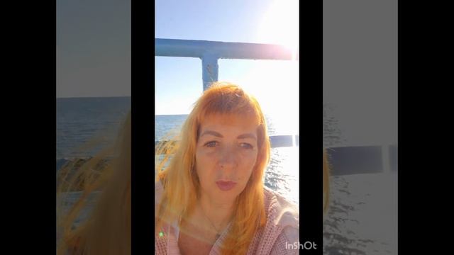 Как узнать действие растения на организм по его названию ?