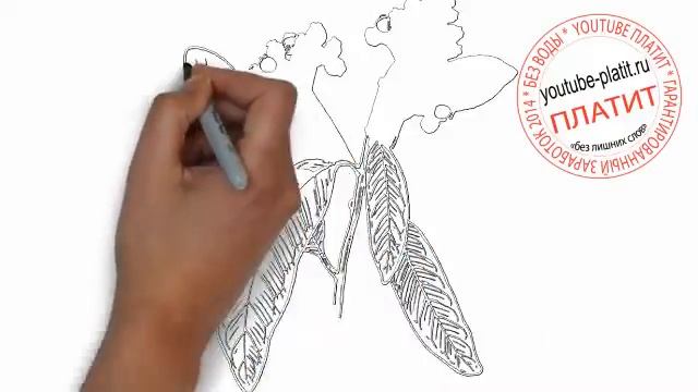 Нарисованные деревья Как нарисовать ветку дерева акация смотреть онлайн