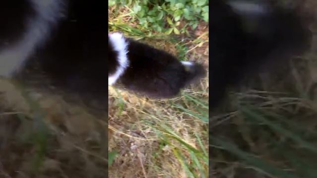 IMG 1020 смотреть онлайн