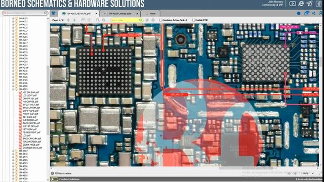 XinZhiZao VS  Borneo