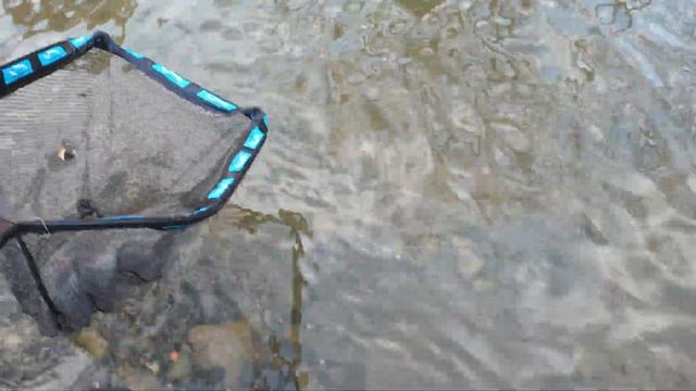 Overcoming Low Clear Challenges: A successful Day Steelhead Fishing смотреть онлайн