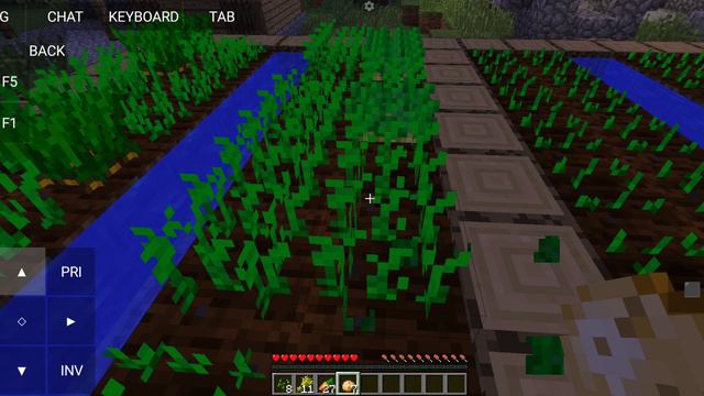 Куда пропали вещи деревни серия 1 смотреть онлайн