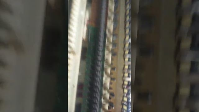 Piano Casio Privia PX dan CDP 220R Servis penyakit Tuts Anjlog/lumpuh/turun. смотреть онлайн