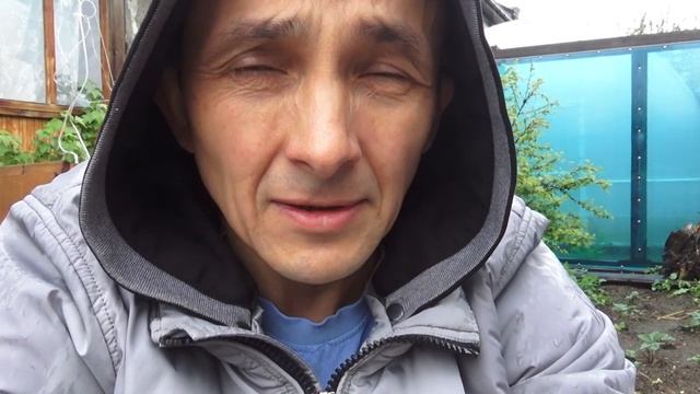 ДАФНИЯ НА ПРИРОДЕ (2) смотреть онлайн