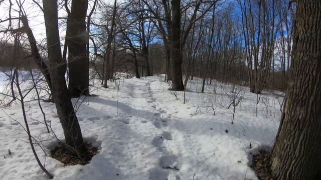 На лыжах вдоль реки Битюг смотреть онлайн