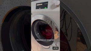 Правильно стираем и сушим пуховик в Miele