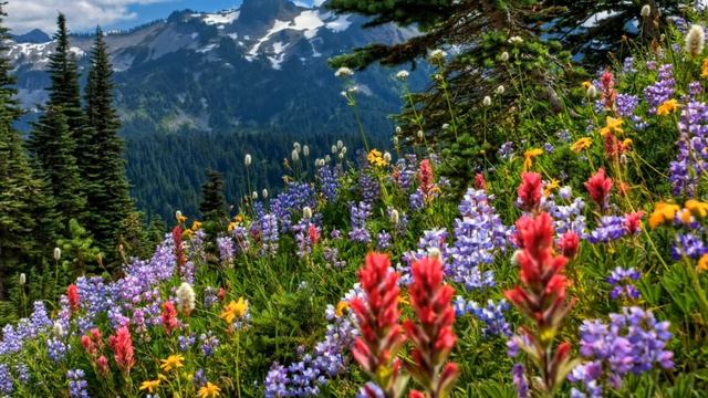 Saint Of Sin. Path Of Destiny (Voice Rasa Serra) смотреть онлайн