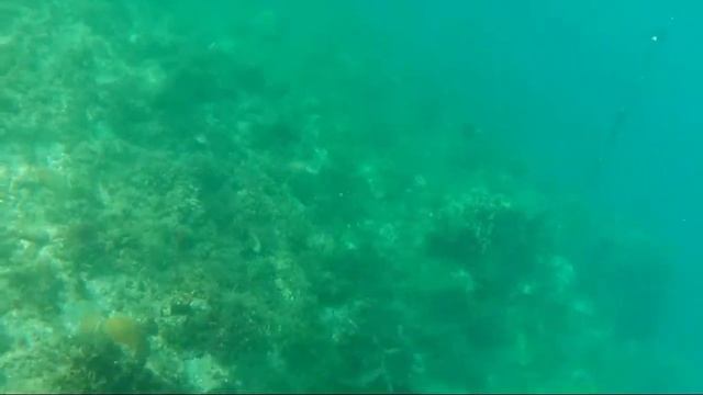 testing akaso brave 7 le action camera in tour boat diving mode zamboanga city смотреть онлайн