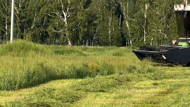 МЕЩЕРА_Е403_СЕЗОН_2024 смотреть онлайн