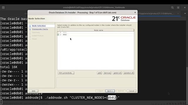 How to add a node in oracle RAC 21c extend oracle home смотреть онлайн