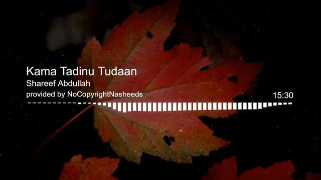 Kama Tadinu Tudaan RELAXING nasheed #nasheed #bayan #relaxing #bgm #islamic смотреть онлайн