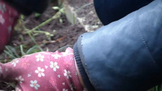 Life story. День трудотерапии. Строим. Полем. Сажаем. И даже шьем. смотреть онлайн