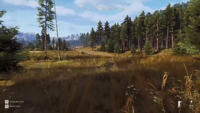 Way of the Hunter Trophy Lodge Tour! 5 Star & Rare Trophies! смотреть онлайн