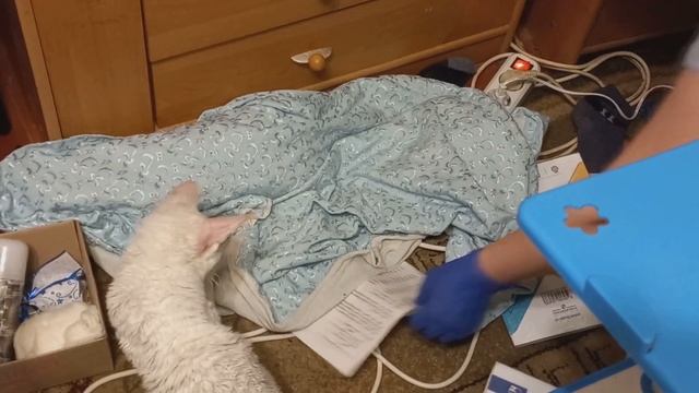 Уникальные ресницы для уникальной женщины