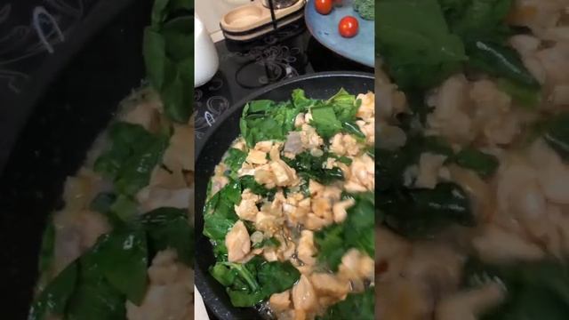 Домашние Животные и Их Уход