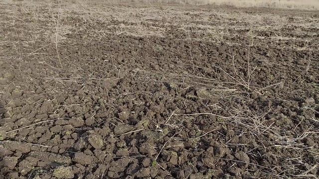 Зимняя обработка почвы прицепным лущильником ЛДГ- 3 ? Лущение травы в пояс трактором ЮМЗ-6 Зимой смотреть онлайн