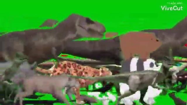 All Poojas For Happy Monster Band Leading The Biggest Stampede Ever Green Screen