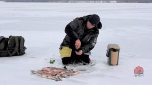 Тактика и способы ловли леща зимой на мормышку