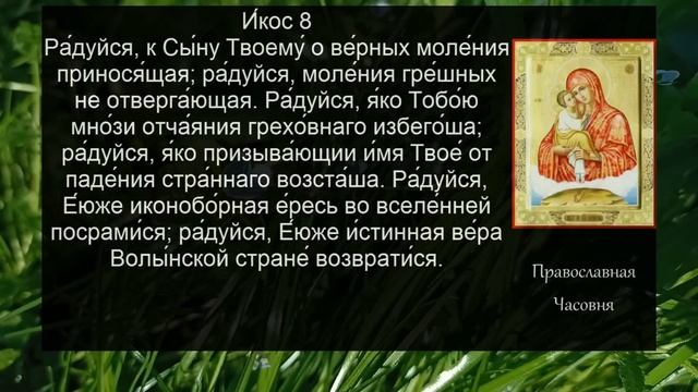 Акафист молитва Почаевской иконе Божией Матери смотреть онлайн