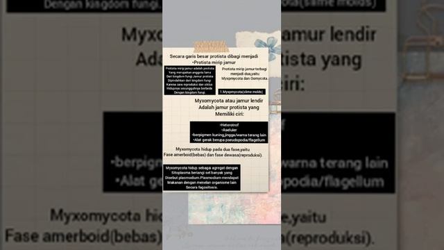 Protista Mirip Fungi Kelas X SMA смотреть онлайн