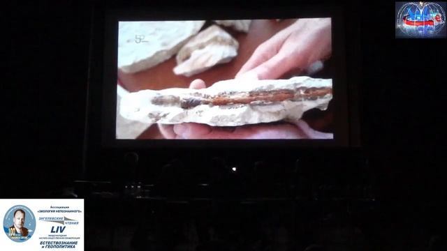 Зигелевские чтения 54 (часть 1) 22.10.2022 - Глобальная волна смотреть онлайн