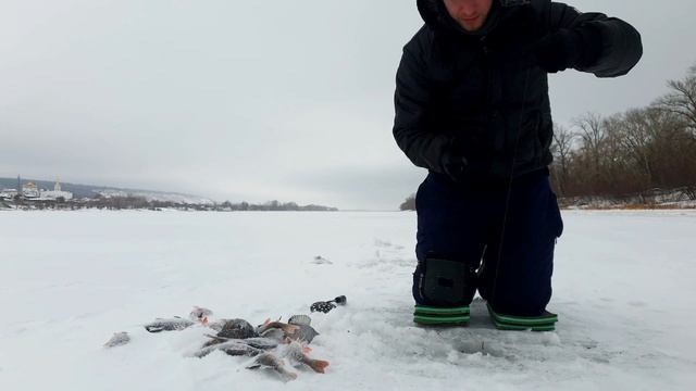 ЛОВЛЯ ПЛОТВЫ НА МОРМЫШКУ С МОТЫЛЁМ ПРИКОРМКА ПРОВОДКА ПОИСК как поймать? зимняя рыбалка 2021 смотреть онлайн