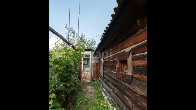 11325055 смотреть онлайн