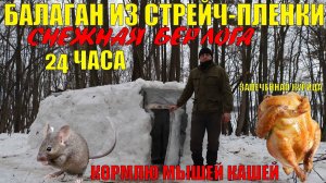 СТРОИТЕЛЬСТВО БАЛАГАНА ИЗ СТРЕЙЧ-ПЛЕНКИ 2 | НОЧЕВКА В СНЕЖНОЙ БЕРЛОГЕ | кормлю мышей кашей