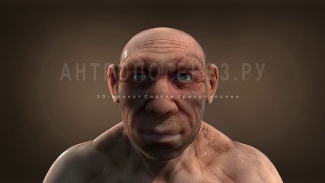 Неандерталец. 3D-реконструкция по черепу смотреть онлайн