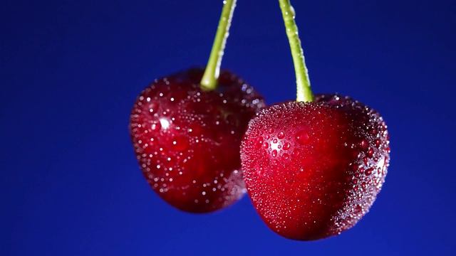 THE COLOR Of DOLBY VISION HDR 4K HDR 120fps