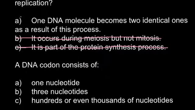 DNA Replication And DNA Codon Composition