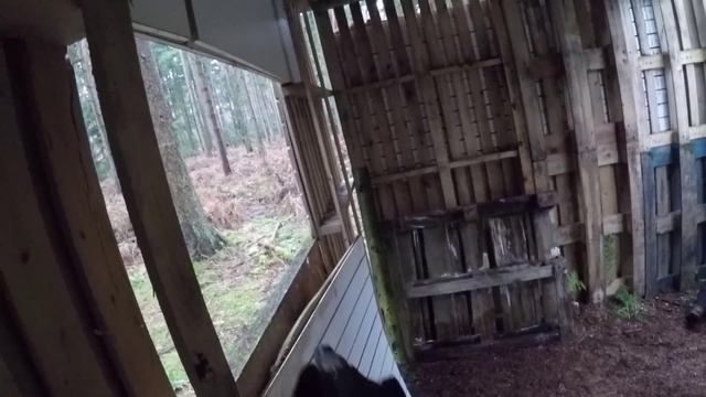 Combat Action Games - Woodland Airsoft - Winchester, VSR, Cyma AK47, Scorpion Evo - BB War смотреть онлайн