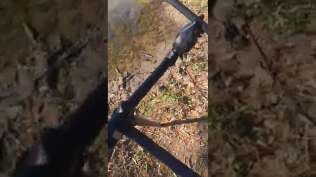 Korum Barbel River Pod Review