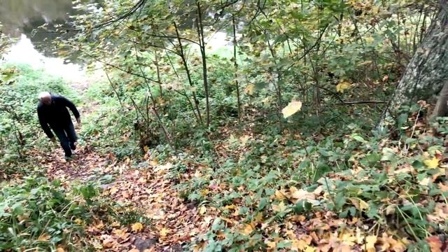 Усадьба Дубровицы смотреть онлайн