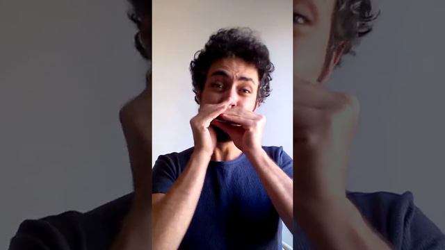 Diatonic Harmonica Jazz - Spain(Chick Corea) смотреть онлайн