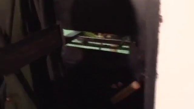 В Пензе в зоопарке для обезьян накроют новогодний стол Тел смотреть онлайн