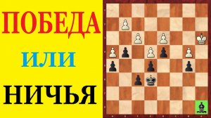 Шахматы. Эндшпиль. Школа шахмат d4-d5.
