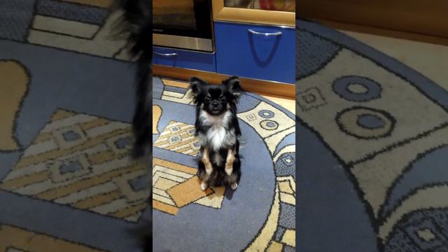 Жжёт парень))) смотреть онлайн