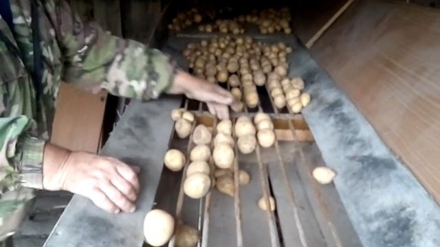 сортировка кортофеля смотреть онлайн