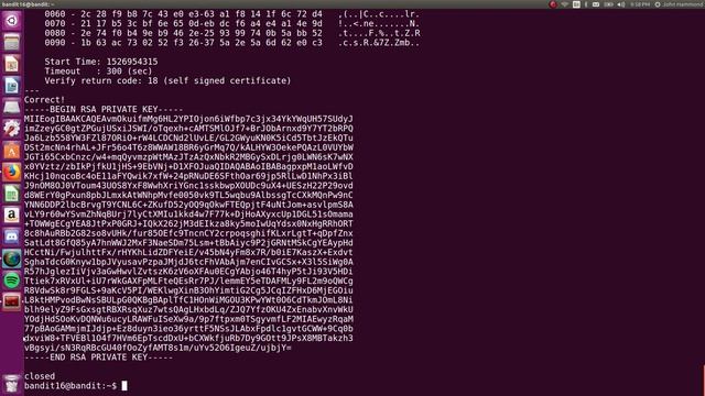 Linux Hacking: SSL, NMap Portscans & Diff | Bandit: OverTheWire (Levels 15-18) смотреть онлайн