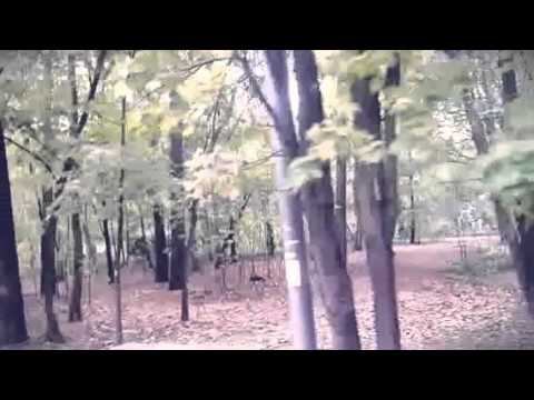 осенний трамвай (Created with @Magisto) смотреть онлайн