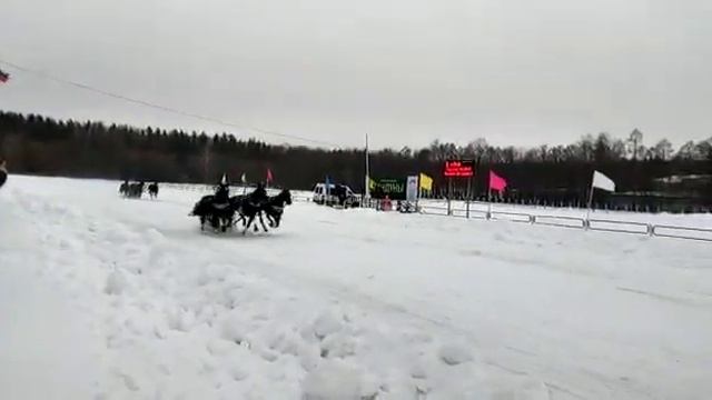 Кострома Vs. Архангельск 2 круг