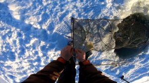 РЫБАЛКА НА ВЕРШУ. ЗИМНЯЯ РЫБАЛКА В СИБИРИ. ПРОВЕРКА МОРДУШЕК №1