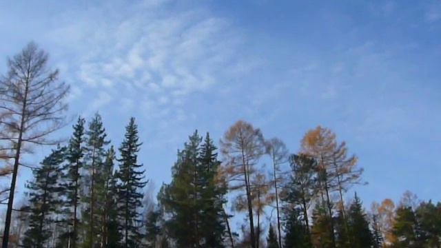 Ориентирование по Луне и часам (практический пример 2) смотреть онлайн