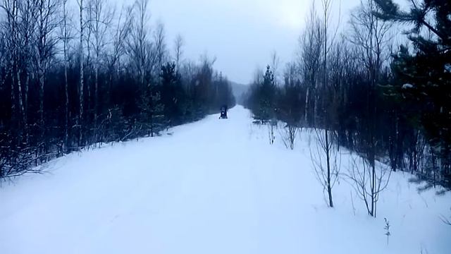 Динго Т 150 смотреть онлайн